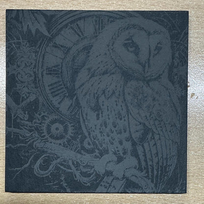 Steampunk Owl Slate Coasters